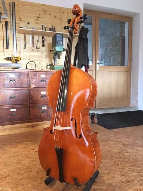 Charles Riche String Instrument Builder Charles_Riche_cello_2 – Perfection pegs